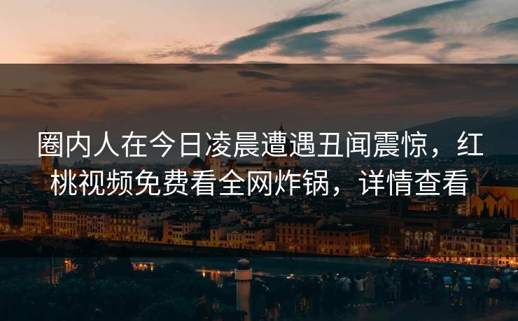 圈内人在今日凌晨遭遇丑闻震惊，红桃视频免费看全网炸锅，详情查看