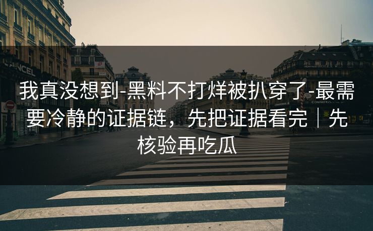 我真没想到-黑料不打烊被扒穿了-最需要冷静的证据链，先把证据看完｜先核验再吃瓜